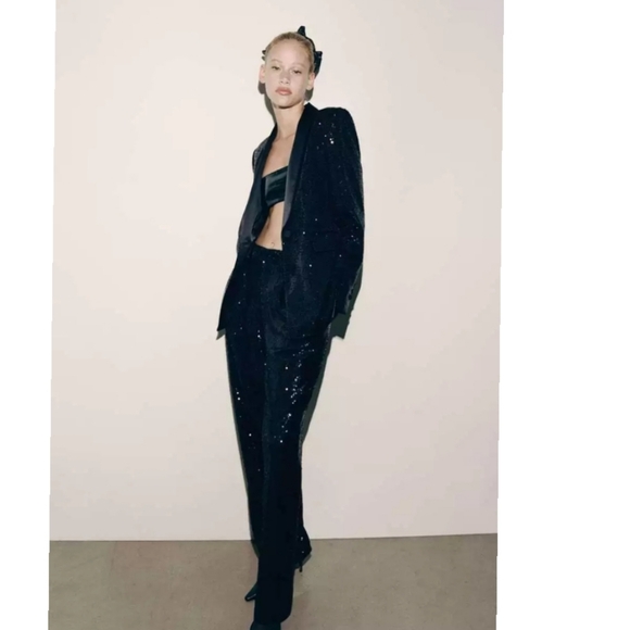 Zara Pants - Zara Limited edition sequin pants